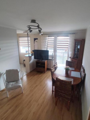 Apartament z Widokiem na Śnieżkę